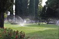 14 b_DSC_0161